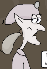 picture of Nome\'s hat